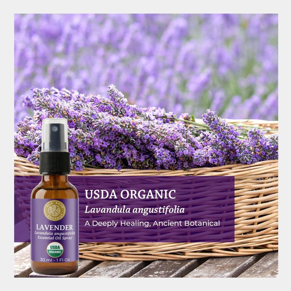 Silk Road Organic Bio-Lavendel Ätherisches Öl Spray – 100% Rein, USDA-zertifiziert, 30 ml