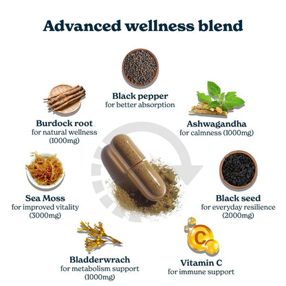 3000mg Irisches Seemoos, 2000mg Schwarzkümmelöl, 1000mg Ashwagandha, 1000mg Klettenwurzel, 1000mg Blasentang mit schwarzem Pfeffer & Vitamin C | Vitalität & Energie | All-in-One Nahrungsergänzung | 120 Kapseln