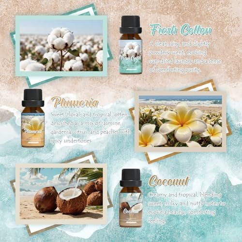 ARVIDSSON Sommer Ätherische Öle Set – Tropische Duftöle für Diffuser, Seifen- und Kerzenherstellung – Ocean Breeze, Pina Colada, Fresh Cotton, Pink Sand, Plumeria, Kokosnuss – Duftöl für Zuhause