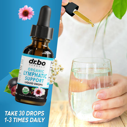 Lymphatische Drainage Tropfen – Organische Lymphunterstützung mit Echinacea, 30 ml, Vegan, Nicht-GVO