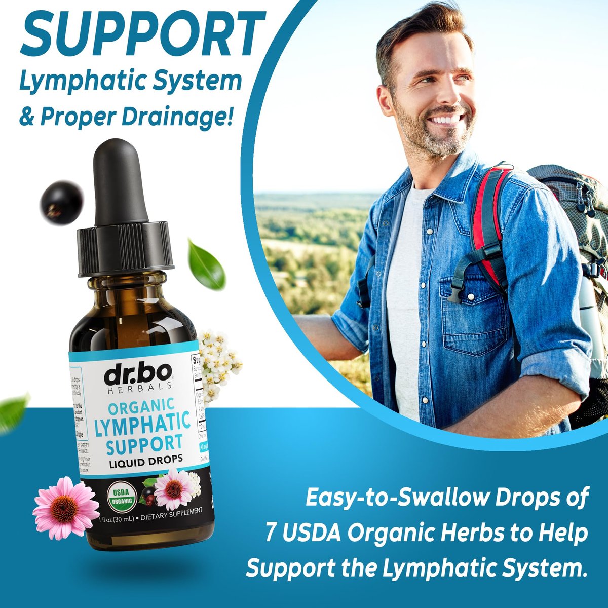 Lymphatische Drainage Tropfen – Organische Lymphunterstützung mit Echinacea, 30 ml, Vegan, Nicht-GVO
