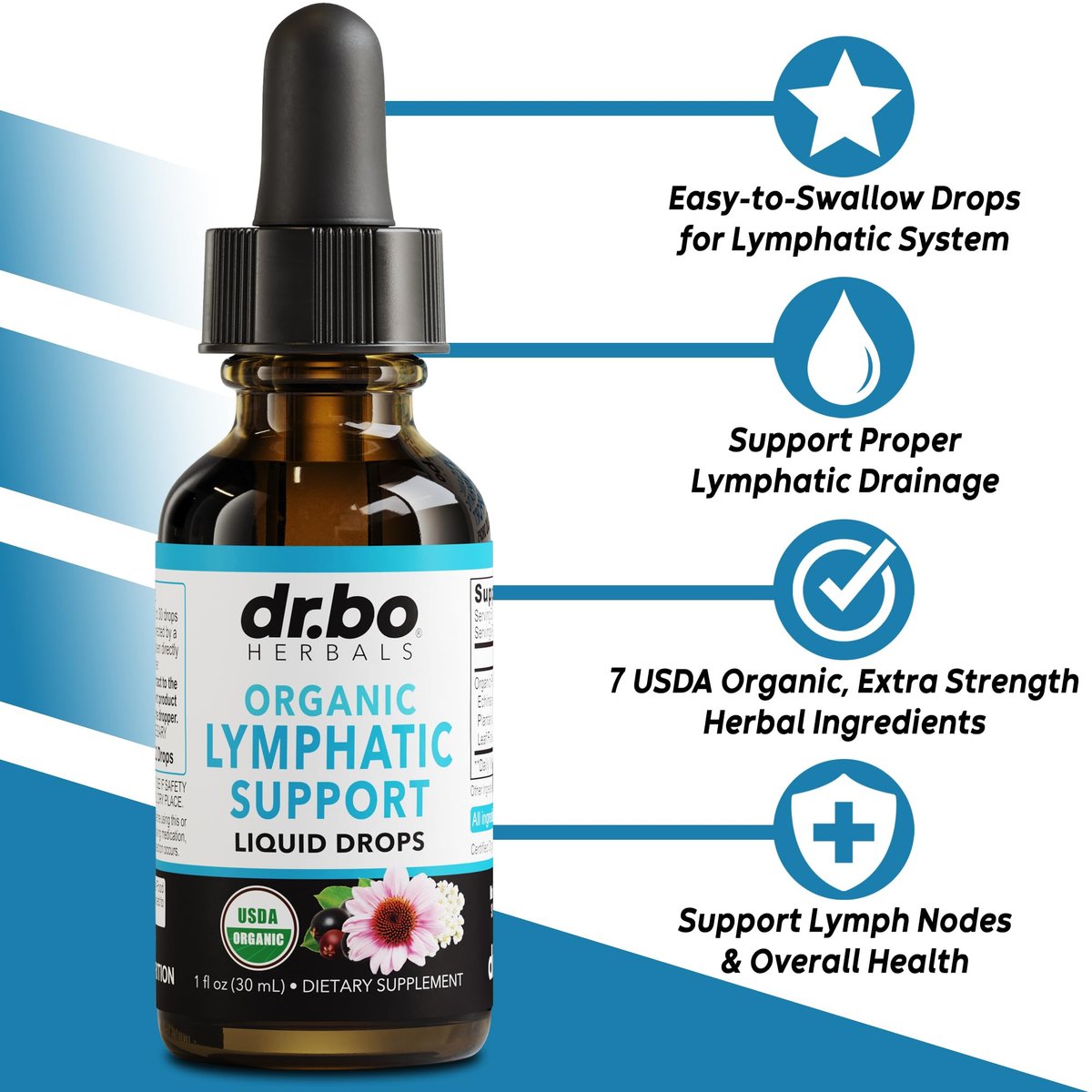 Lymphatische Drainage Tropfen – Organische Lymphunterstützung mit Echinacea, 30 ml, Vegan, Nicht-GVO