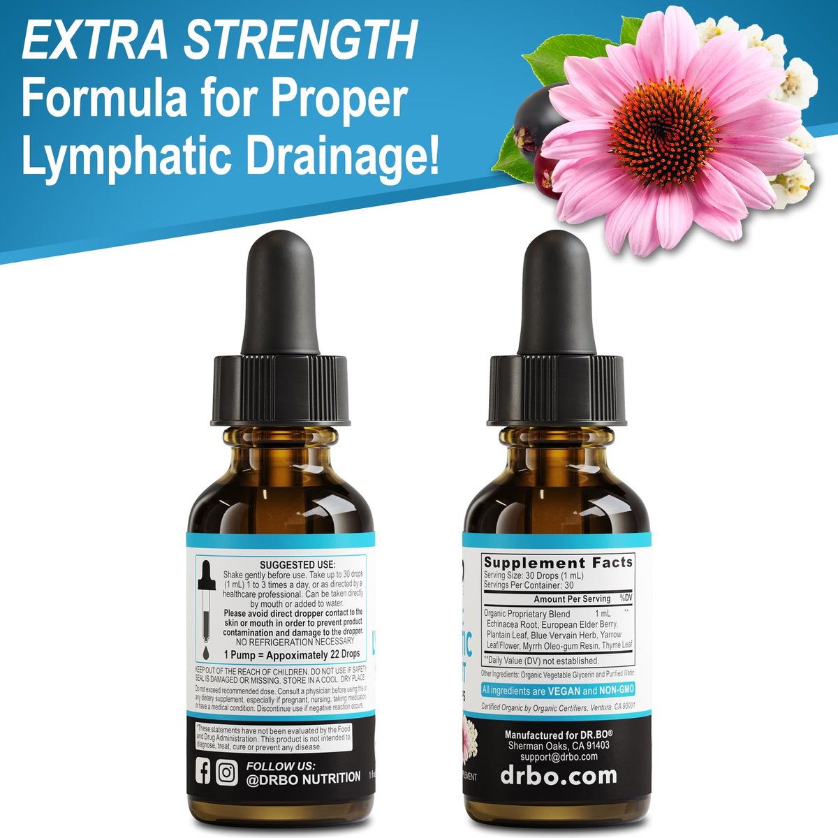 Lymphatische Drainage Tropfen – Organische Lymphunterstützung mit Echinacea, 30 ml, Vegan, Nicht-GVO