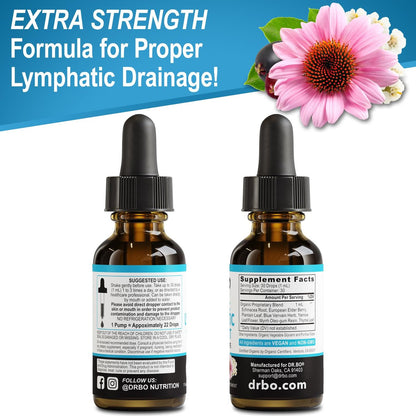 Lymphatische Drainage Tropfen – Organische Lymphunterstützung mit Echinacea, 30 ml, Vegan, Nicht-GVO