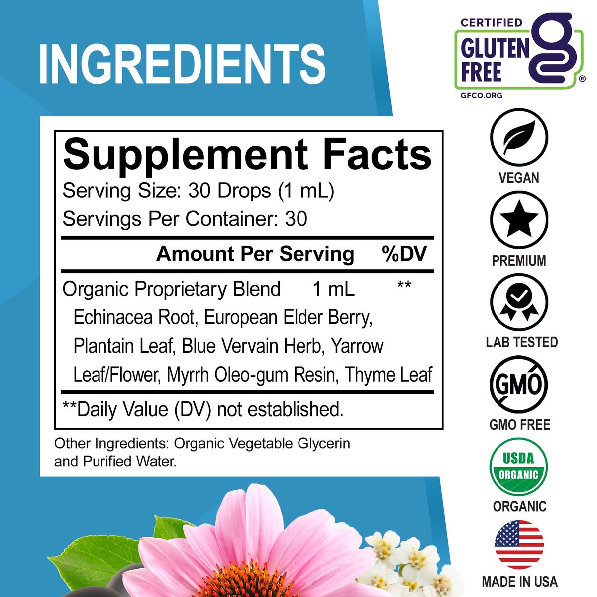 Lymphatische Drainage Tropfen – Organische Lymphunterstützung mit Echinacea, 30 ml, Vegan, Nicht-GVO