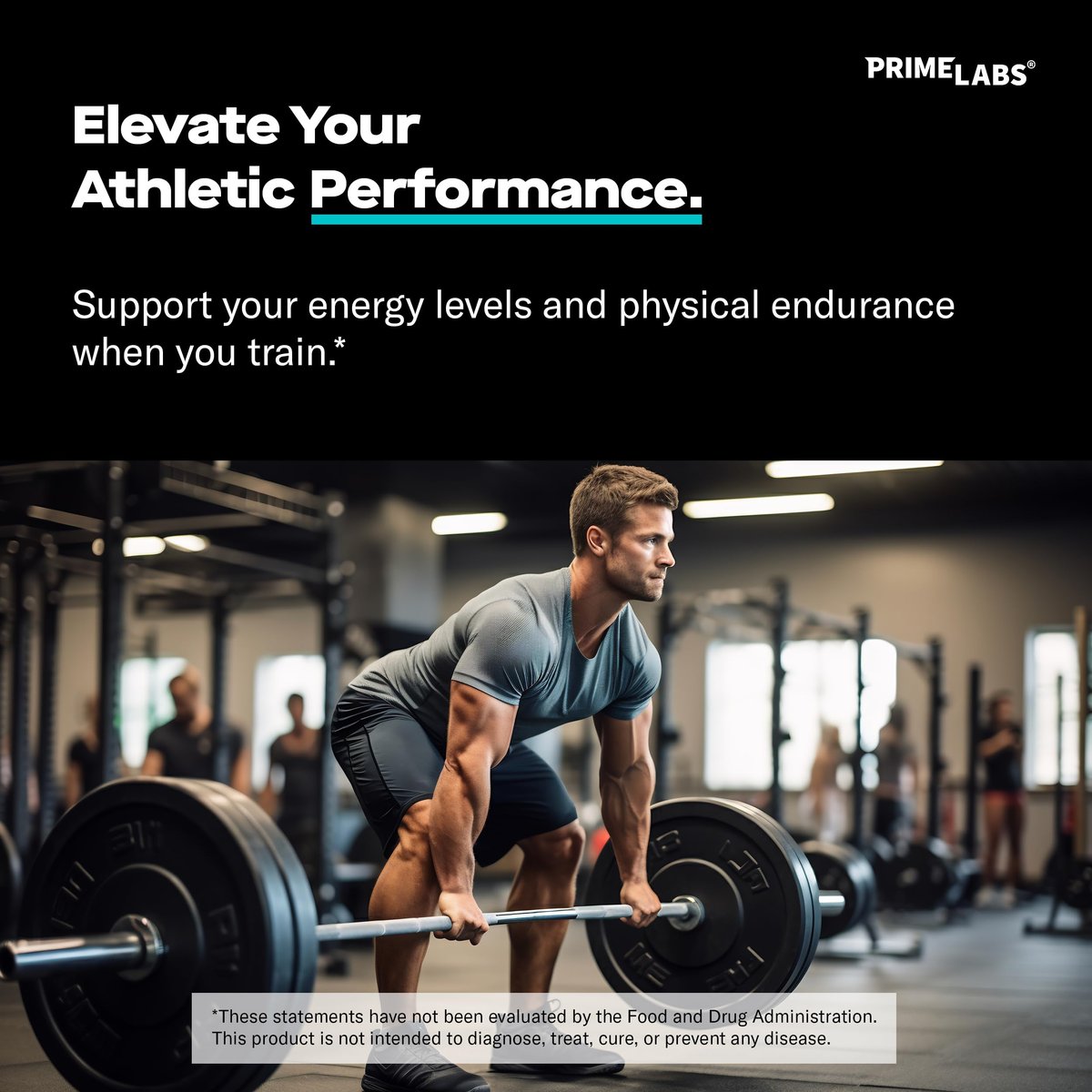 Prime Labs L-Arginin 1500 mg – Stickstoffmonoxid-Supplement für Durchblutung, Energie, Kraft und Ausdauer – 60 Kapseln