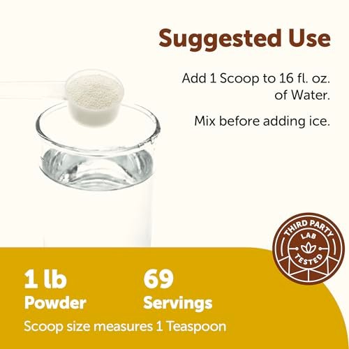 Micro Ingredients Hydration Electrolyte Powder, 1 lb (69 Portionen) | Zitronen-Himbeer-Geschmack | Hoher Kaliumgehalt (1.000 mg) + Kokoswasser & echter Zitronensaft | Zuckerfrei, Keto-freundlich | Nicht-GMO