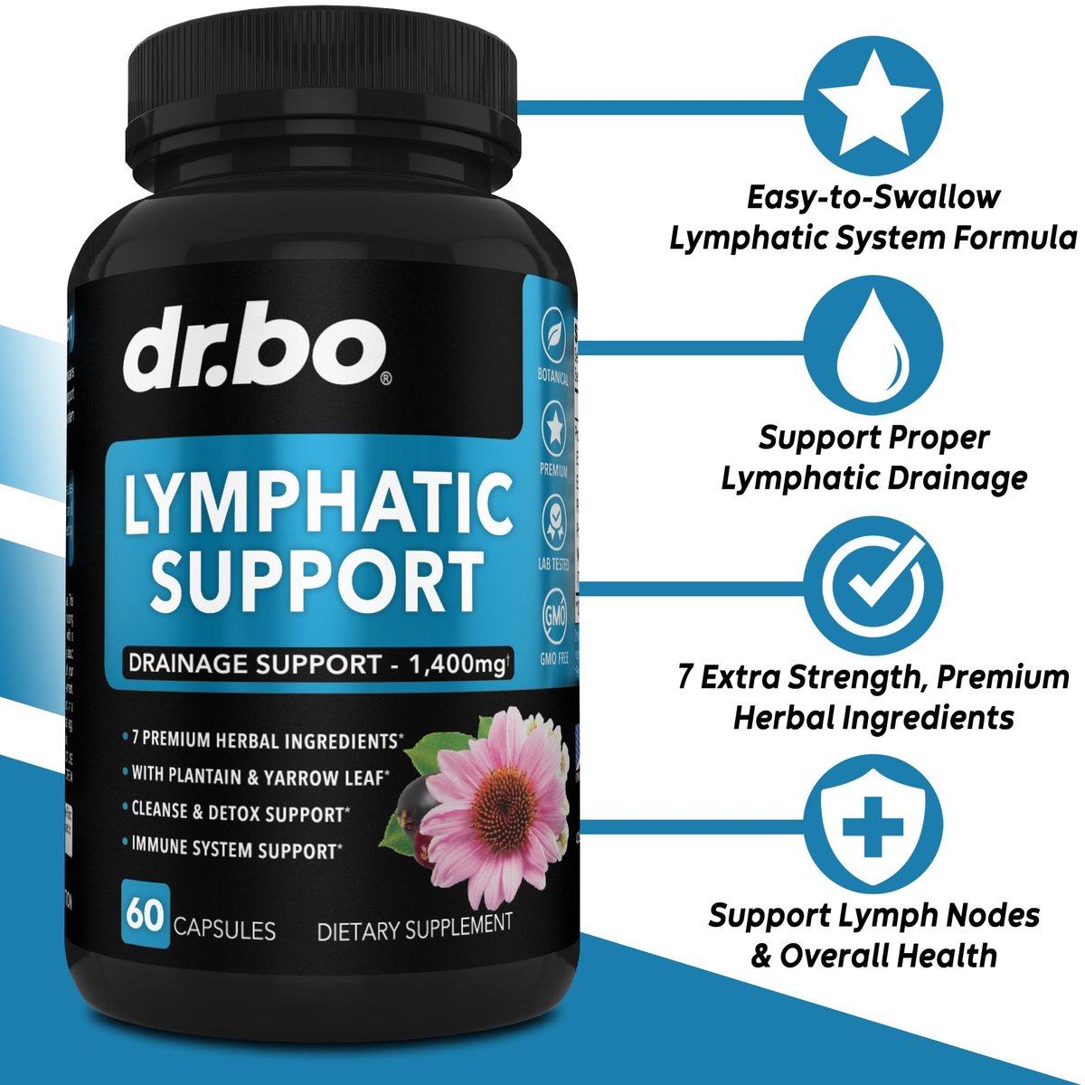 DR. BO Lymphatische Drainage Nahrungsergänzungsmittel Kapseln - Lymphsystem Unterstützung mit Echinacea für Beine, Hals & Knoten - Kräuterreinigung für den Lymphknoten-Detox