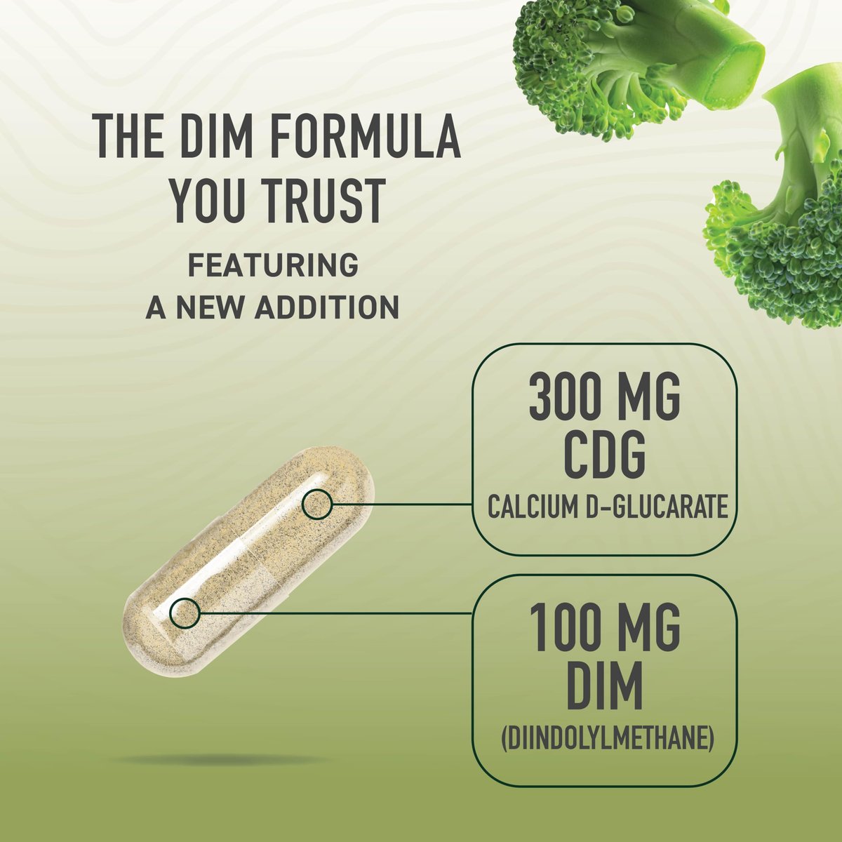 Calcium D-Glucarate mit DIM – Hormonbalance & Entgiftung für Frauen und Männer | 30 Kapseln