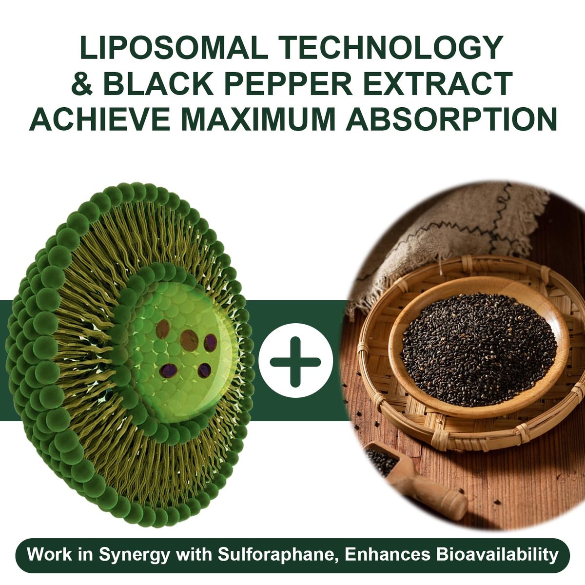 900 mg Liposomales Sulforaphan Präparat Brokkoli Extrakt – Antioxidans, Leberunterstützung, Verdauung, Zellgesundheit – 60 Kapseln