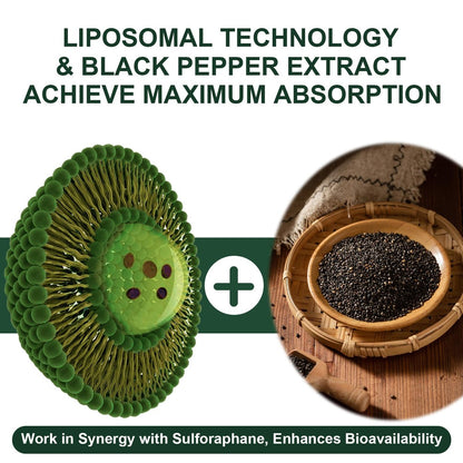 900 mg Liposomales Sulforaphan Präparat Brokkoli Extrakt – Antioxidans, Leberunterstützung, Verdauung, Zellgesundheit – 60 Kapseln