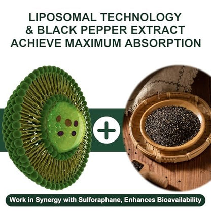 900 mg Liposomales Sulforaphan Präparat Brokkoli Extrakt – Antioxidans, Leberunterstützung, Verdauung, Zellgesundheit – 60 Kapseln