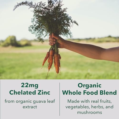PlantFusion Vegane Zink-Ergänzung 22 mg – Vollwertkomplex mit cheliertem Zinkcitrat aus Bio-Guavenblatt zur Unterstützung des Immunsystems, 60 Kapseln
