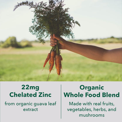 PlantFusion Vegane Zink-Ergänzung 22 mg – Vollwertkomplex mit cheliertem Zinkcitrat aus Bio-Guavenblatt zur Unterstützung des Immunsystems, 60 Kapseln