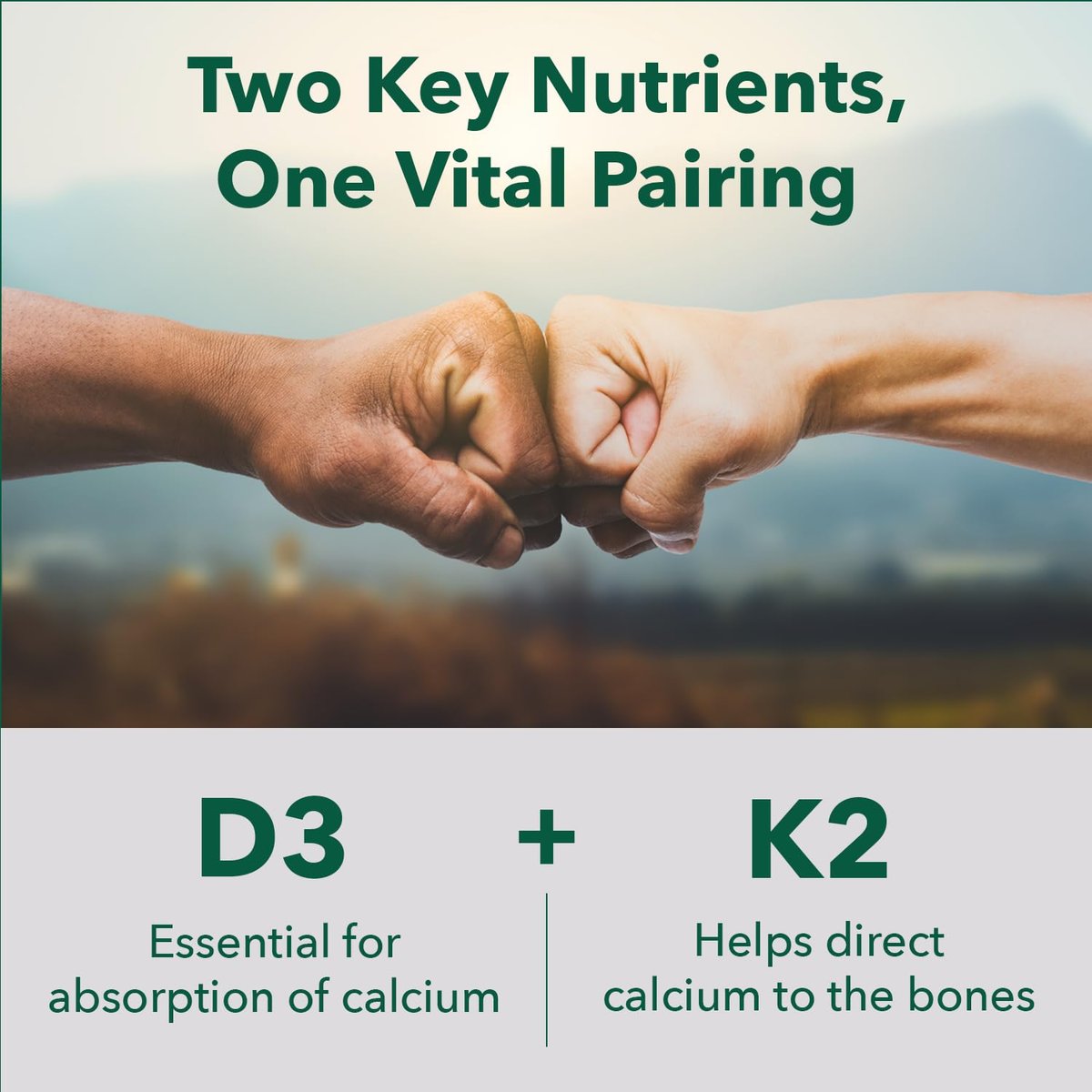 PlantFusion Organisches Veganes Vitamin D3 + K2 5.000 IE, 50 µg – Vitamin D aus pflanzlicher Flechte und Vitamin K2 für Immununterstützung und Knochengesundheit – 60 Kapseln