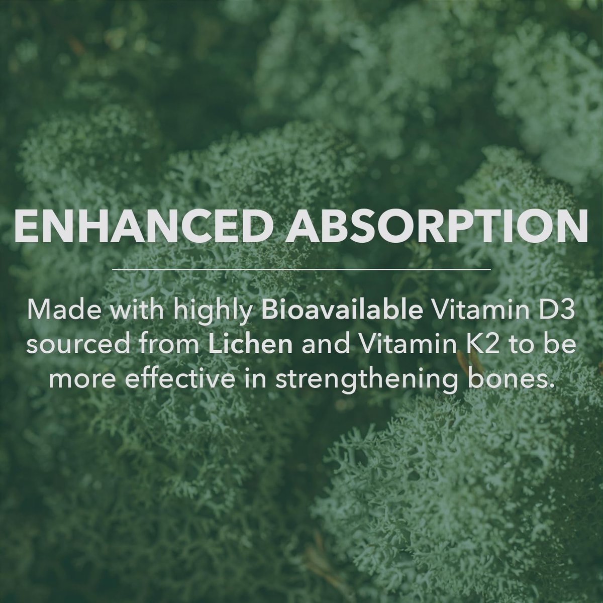 PlantFusion Organisches Veganes Vitamin D3 + K2 5.000 IE, 50 µg – Vitamin D aus pflanzlicher Flechte und Vitamin K2 für Immununterstützung und Knochengesundheit – 60 Kapseln