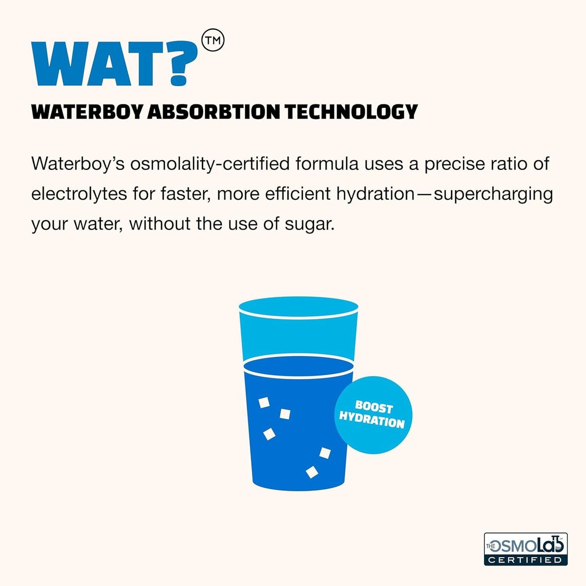 Waterboy Workout Hydration | 2.960 mg Zuckerfreie Elektrolyt-Pulver-Päckchen | L-Glutamin + Vitamine | Ohne Zucker, Natürlich, Glutenfrei | 15 Trinkmischungen (Fruchtpunsch)