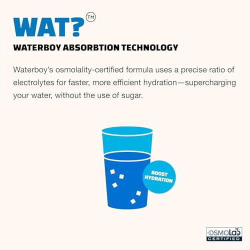 Waterboy Workout Hydration | 2.960 mg Zuckerfreie Elektrolyt-Pulver-Päckchen | L-Glutamin + Vitamine | Ohne Zucker, Natürlich, Glutenfrei | 15 Trinkmischungen (Fruchtpunsch)