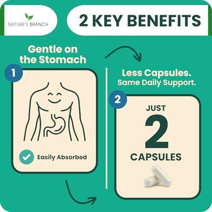 Magnesium Taurat 400 mg | Hohe Absorption | 200 Kapseln für Schlaf, Herzgesundheit, Ruhe, Gelenkunterstützung für Frauen und Männer | Reines elementares Magnesiumpulver plus Taurin – Extra starke Kapseln