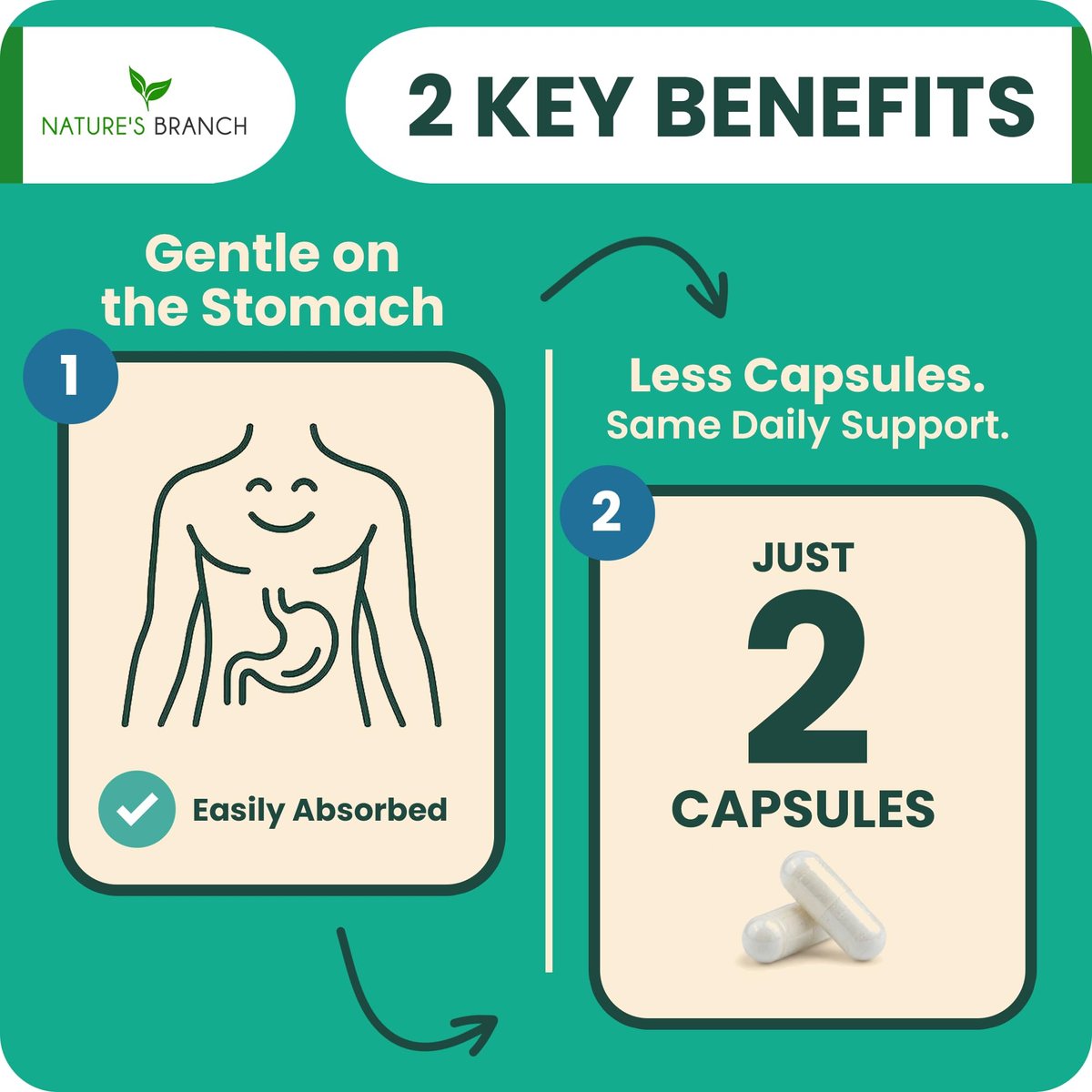 Magnesium Taurat 400 mg | Hohe Absorption | 200 Kapseln für Schlaf, Herzgesundheit, Ruhe, Gelenkunterstützung für Frauen und Männer | Reines elementares Magnesiumpulver plus Taurin – Extra starke Kapseln