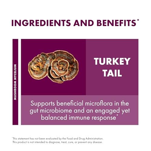 Host Defense Turkey Tail Kapseln – Unterstützung für Verdauungsgesundheit & Immunsystem – Pilzpräparat für Magen-Darm- & Darmmikrobiom-Unterstützung – 30 Kapseln (15 Portionen)