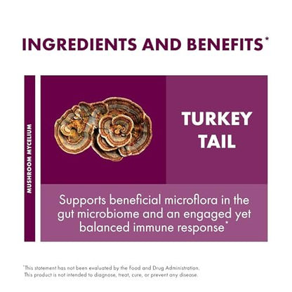 Host Defense Turkey Tail Kapseln – Unterstützung für Verdauungsgesundheit & Immunsystem – Pilzpräparat für Magen-Darm- & Darmmikrobiom-Unterstützung – 30 Kapseln (15 Portionen)