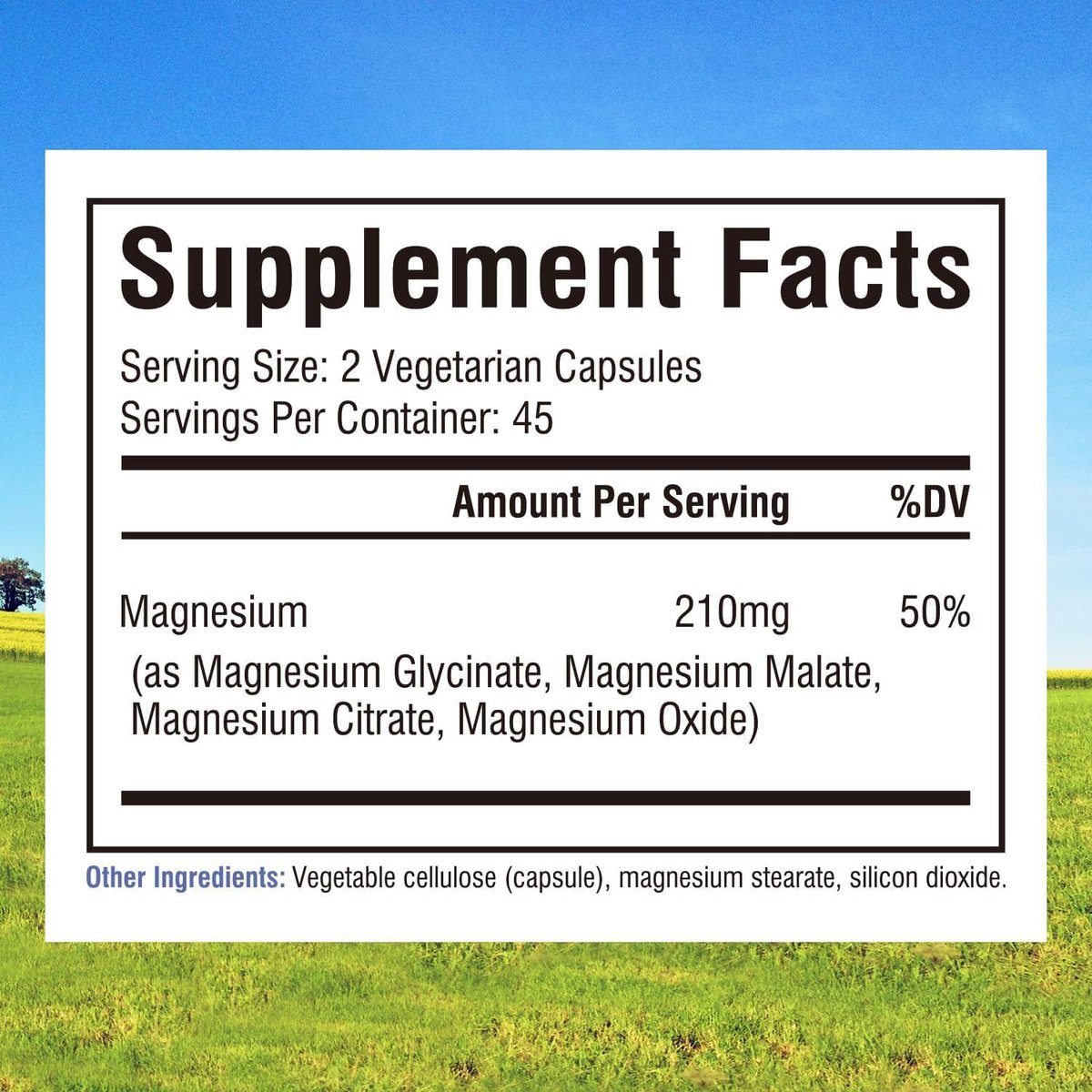 Innate Vitality Magnesium Komplex – Magnesiumglycinat, Malat, Citrat, Oxid – 4-in-1 Formel für Energie, Knochen & Nerven – Vegan & Glutenfrei – 90 Kapseln