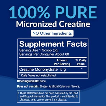 BodyTech Creatin-Monohydrat-Pulver, ungewürzt, mikronisiertes Creatin für Männer und Frauen, 5 g pro Portion, Pre-Workout & Post-Workout, glutenfrei, zuckerfrei, 300 g, 60 Portionen