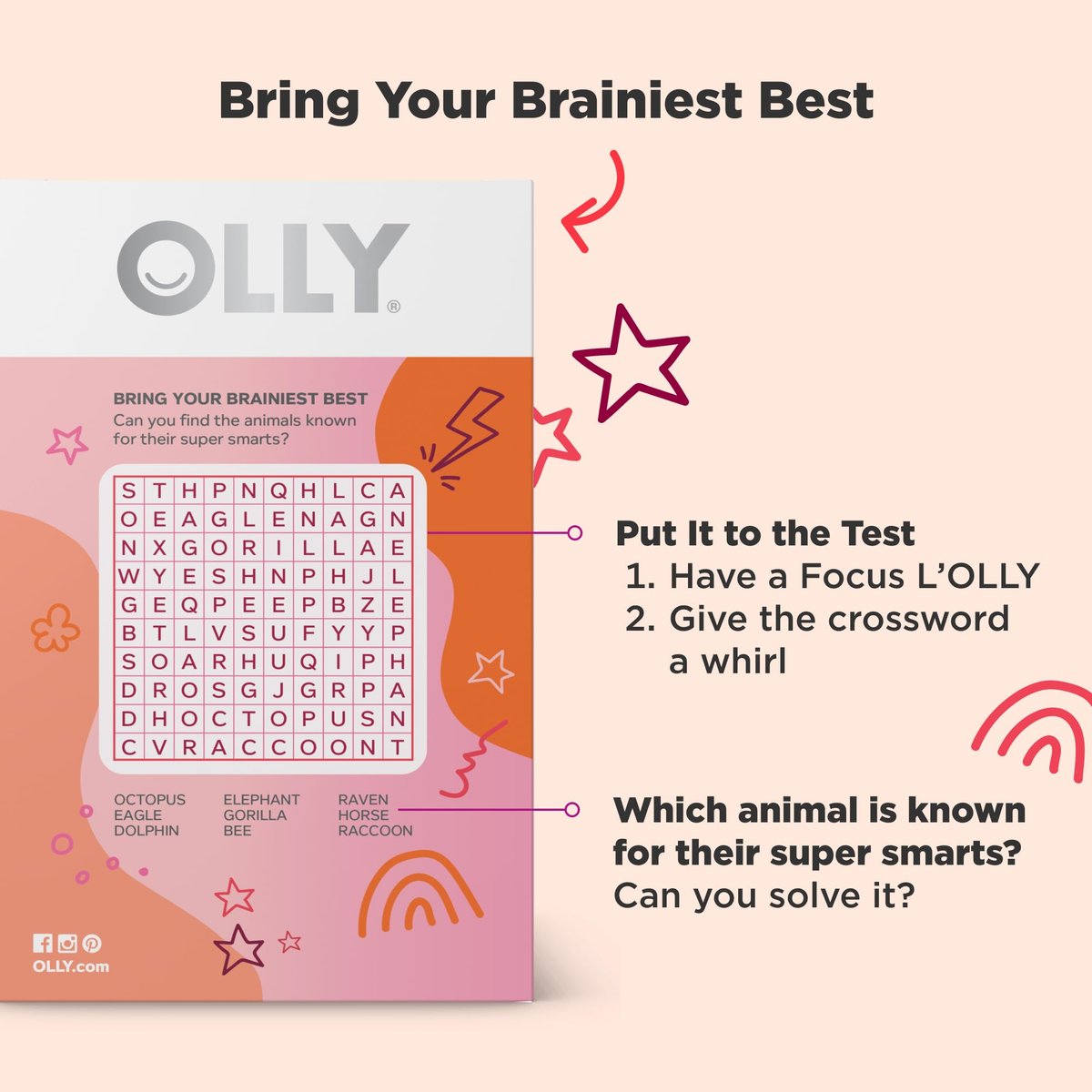 OLLY Focus Buddies L’OLLY Pops für Kinder ab 4 Jahren – Cognizin, Vitamine B6 und B12, Omega-3 ALA – Unterstützt fokussierte Aufmerksamkeit und gesunde Gehirnfunktion – Wassermelone-Erdbeer-Geschmack – 25 Stück