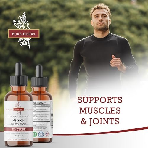 Pura Herba Bio Poke Root Tinktur | Poke Root Extrakt Flüssig | Kräuterergänzung für Immununterstützung & Lymphgesundheit | Vegan | Alkoholfrei | Nicht-GVO | Hergestellt in den USA | 60 ml