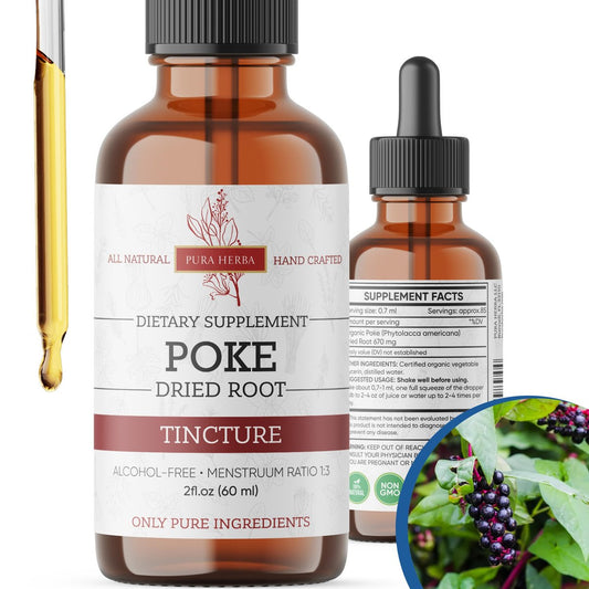 Pura Herba Bio Poke Root Tinktur | Poke Root Extrakt Flüssig | Kräuterergänzung für Immununterstützung & Lymphgesundheit | Vegan | Alkoholfrei | Nicht-GVO | Hergestellt in den USA | 60 ml