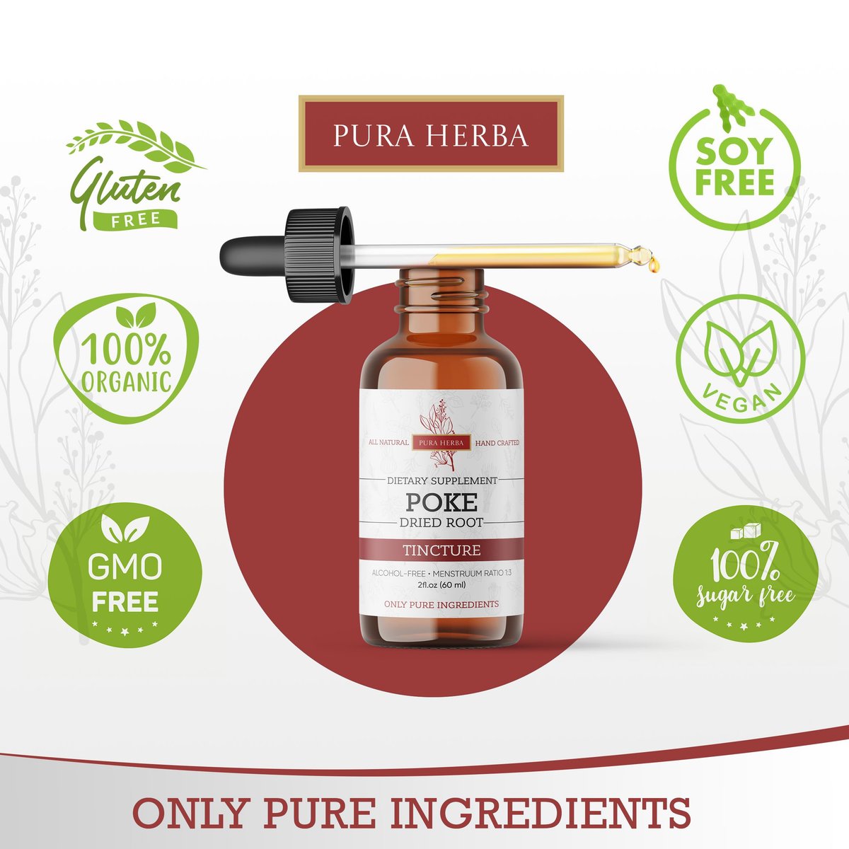 Pura Herba Bio Poke Root Tinktur | Poke Root Extrakt Flüssig | Kräuterergänzung für Immununterstützung & Lymphgesundheit | Vegan | Alkoholfrei | Nicht-GVO | Hergestellt in den USA | 60 ml