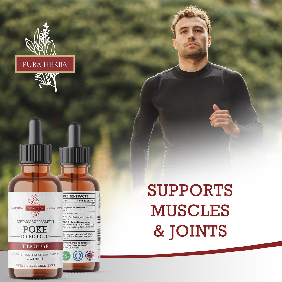 Pura Herba Bio Poke Root Tinktur | Poke Root Extrakt Flüssig | Kräuterergänzung für Immununterstützung & Lymphgesundheit | Vegan | Alkoholfrei | Nicht-GVO | Hergestellt in den USA | 60 ml
