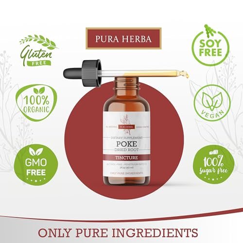 Pura Herba Bio Poke Root Tinktur | Poke Root Extrakt Flüssig | Kräuterergänzung für Immununterstützung & Lymphgesundheit | Vegan | Alkoholfrei | Nicht-GVO | Hergestellt in den USA | 60 ml