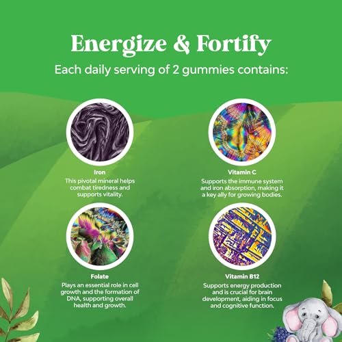 Nature's Craft Eisen Gummibärchen für Kinder – Sanfte Eisenpräparate für starke Immunität & Energie – mit Vitamin B12, Folsäure & Vitamin C – Vegan, zuckerfrei, glutenfrei – 60 Stück