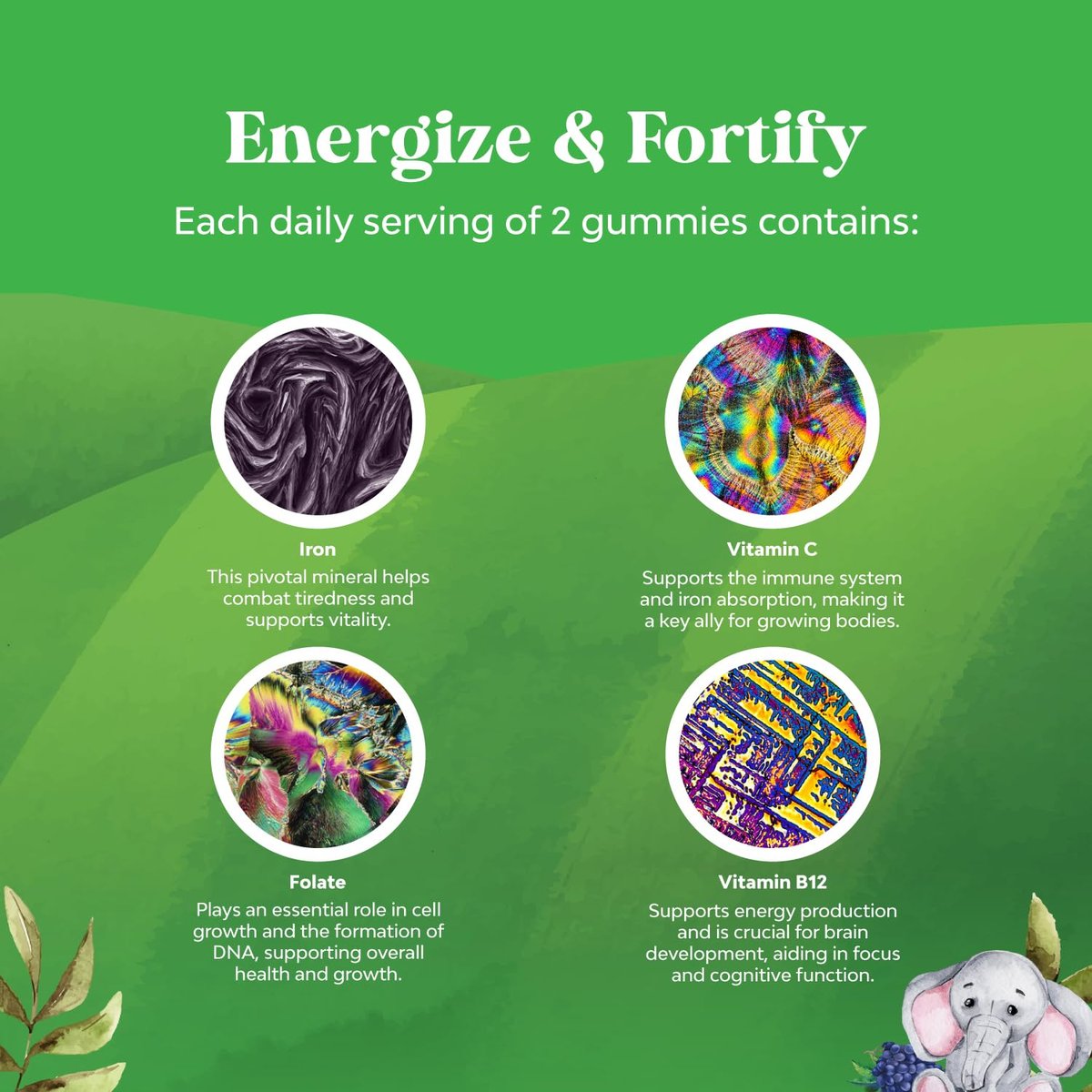 Nature's Craft Eisen Gummibärchen für Kinder – Sanfte Eisenpräparate für starke Immunität & Energie – mit Vitamin B12, Folsäure & Vitamin C – Vegan, zuckerfrei, glutenfrei – 60 Stück