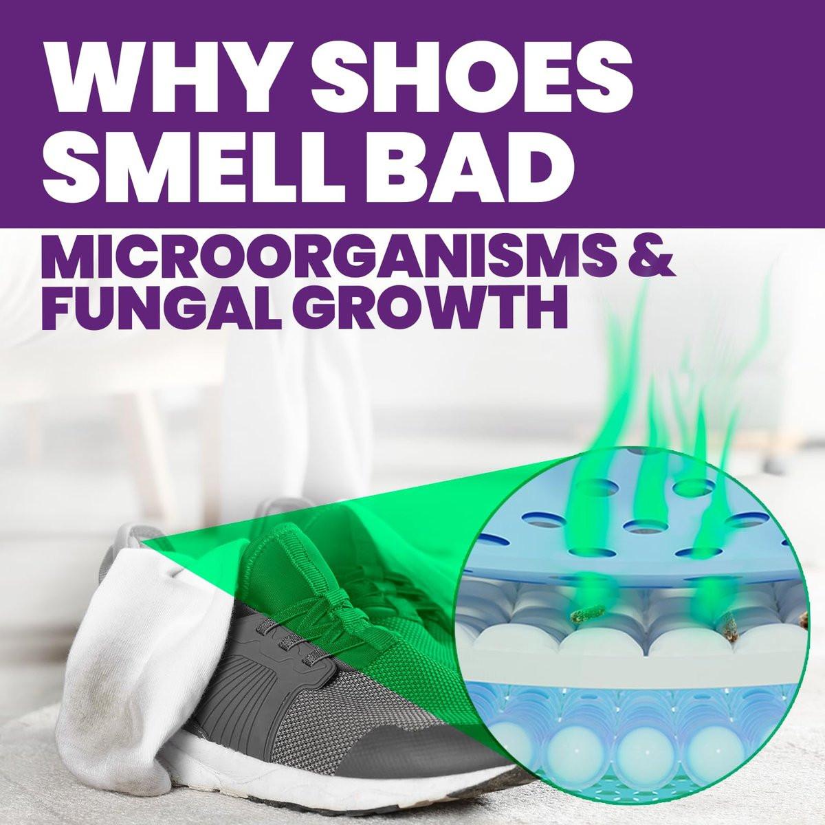 Uncle Todd's Schuh-Deo-Spray – Bewährte & kraftvolle Enzym-Formel zur Geruchsbeseitigung in allen Schuhen (Midnight Rain)