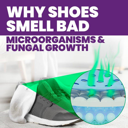 Uncle Todd's Schuh-Deo-Spray – Bewährte & kraftvolle Enzym-Formel zur Geruchsbeseitigung in allen Schuhen (Midnight Rain)