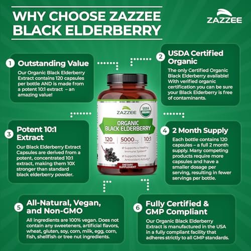 Zazzee Bio Holunderbeere 10:1 Extrakt, 120 vegane Kapseln, 2-Monats-Vorrat, Sambucus Nigra, Antioxidantien & Immununterstützung, konzentrierter 10X Extrakt, natürlich, nicht-GVO, hergestellt in den USA