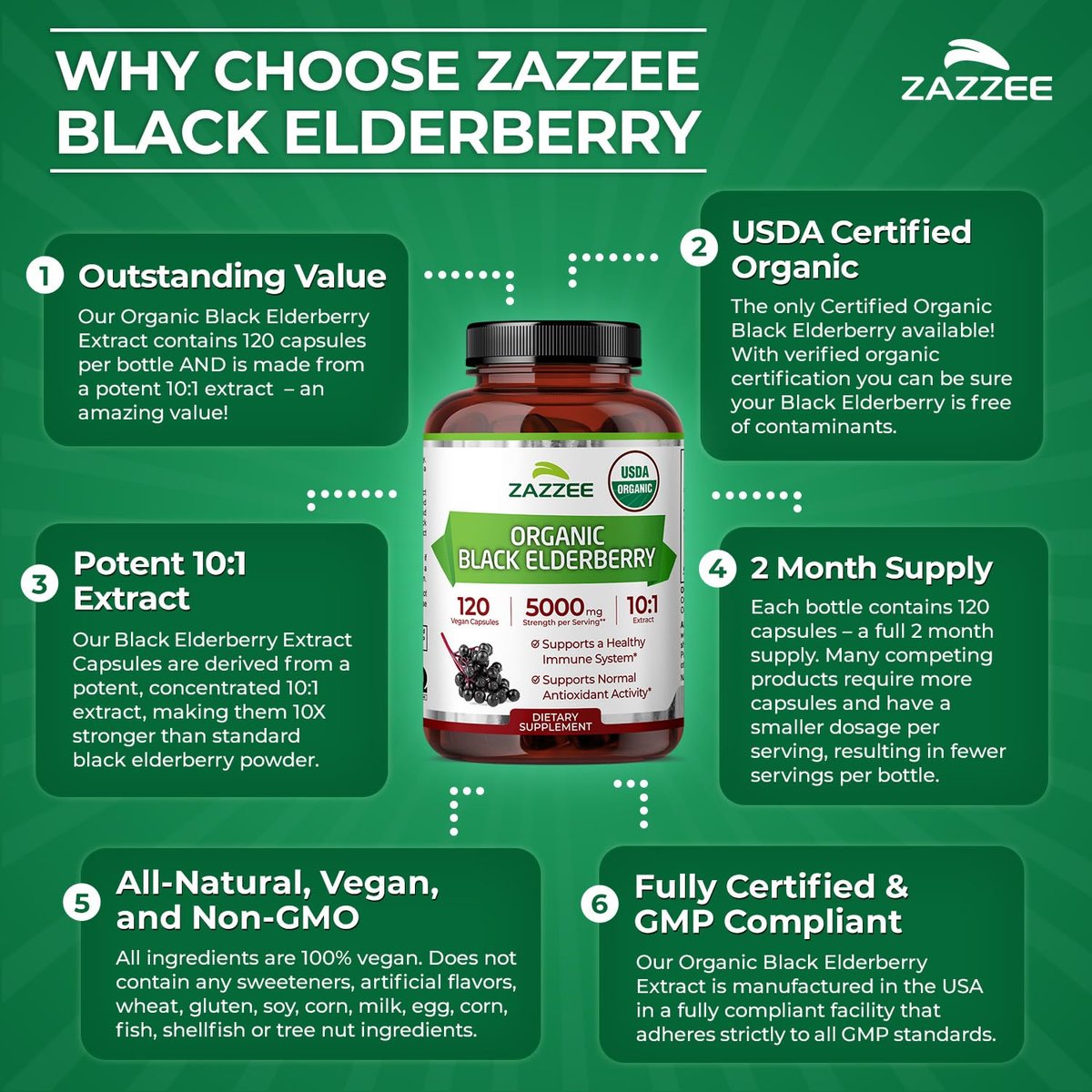 Zazzee Bio Holunderbeere 10:1 Extrakt, 120 vegane Kapseln, 2-Monats-Vorrat, Sambucus Nigra, Antioxidantien & Immununterstützung, konzentrierter 10X Extrakt, natürlich, nicht-GVO, hergestellt in den USA