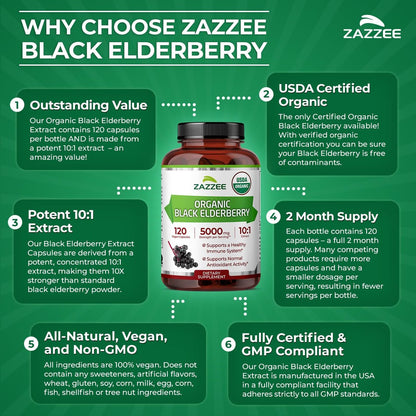 Zazzee Bio Holunderbeere 10:1 Extrakt, 120 vegane Kapseln, 2-Monats-Vorrat, Sambucus Nigra, Antioxidantien & Immununterstützung, konzentrierter 10X Extrakt, natürlich, nicht-GVO, hergestellt in den USA
