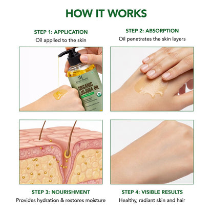 Botanic Hearth USDA Bio Jojobaöl 237 ml | 100% rein und natürlich – kaltgepresst & hexanfrei – natürliches Haarwachstumsöl für Wimpern, Augenbrauen, Haut, Gesicht, Nägel & Kopfhaut