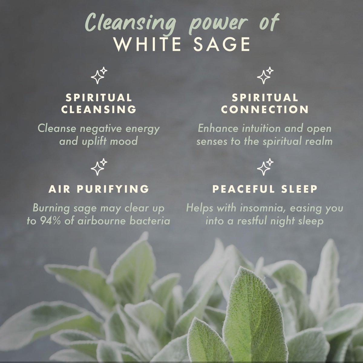 Manifest Candles Weißer Salbei Reinigungs-Kerze – 45 Stunden Brenndauer, Kokos-Sojawachs, Negative Energie Vertreiben, Meditation & Aromatherapie