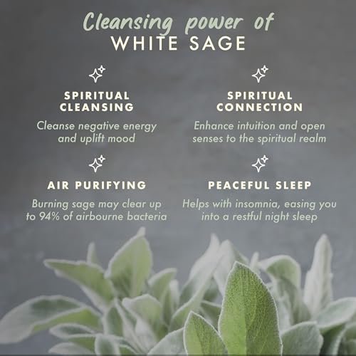 Manifest Candles Weißer Salbei Reinigungs-Kerze – 45 Stunden Brenndauer, Kokos-Sojawachs, Negative Energie Vertreiben, Meditation & Aromatherapie