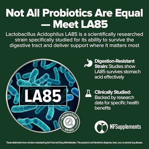 Lactobacillus Acidophilus Probiotikum 240 Tabletten (4 Monate Vorrat) – Geprüfter Stamm LA85 – 3 Milliarden KBE – Unterstützt Verdauungsgesundheit & Mikrobiom – GMP-zertifiziert