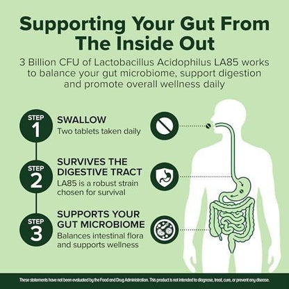 Lactobacillus Acidophilus Probiotikum 240 Tabletten (4 Monate Vorrat) – Geprüfter Stamm LA85 – 3 Milliarden KBE – Unterstützt Verdauungsgesundheit & Mikrobiom – GMP-zertifiziert