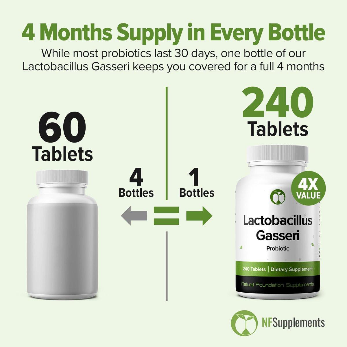 Lactobacillus Gasseri Probiotikum 240 Tabletten (4-Monats-Vorrat) – Erforschter Stamm LG08 – 3 Milliarden KBE – Verdauungsgesundheit & Antioxidative Unterstützung – GMP-zertifiziert