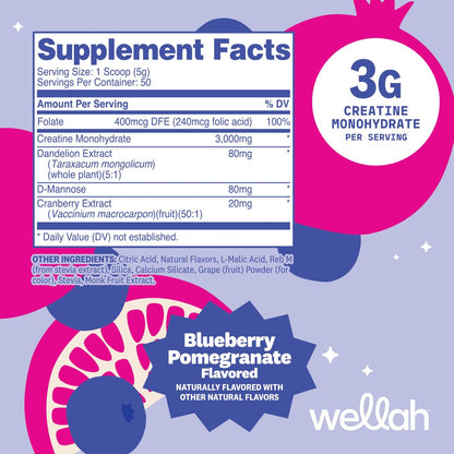 Wellah Creatin für Frauen – Creatin-Monohydrat mit Löwenzahn & Cranberry-Extrakt (50 Portionen, Blaubeere-Granatapfel)