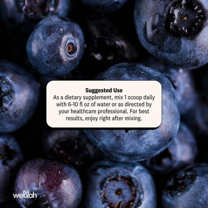 Wellah Creatin für Frauen – Creatin-Monohydrat mit Löwenzahn & Cranberry-Extrakt (50 Portionen, Blaubeere-Granatapfel)