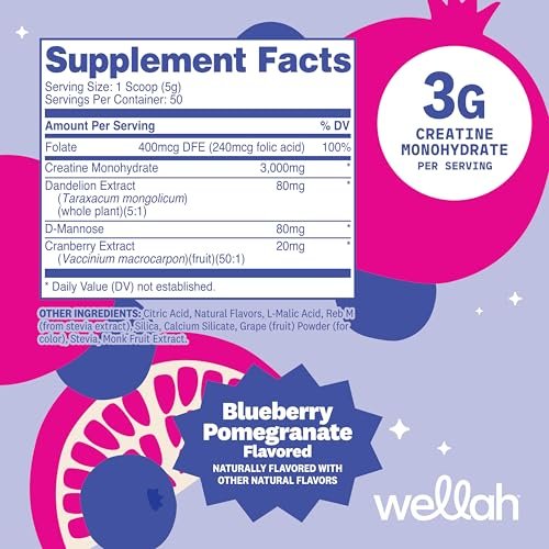 Wellah Creatin für Frauen – Creatin-Monohydrat mit Löwenzahn & Cranberry-Extrakt (50 Portionen, Blaubeere-Granatapfel)